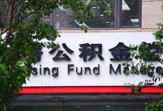 嘉鱼公积金可以找黄牛取出来吗（公积金 黄牛）